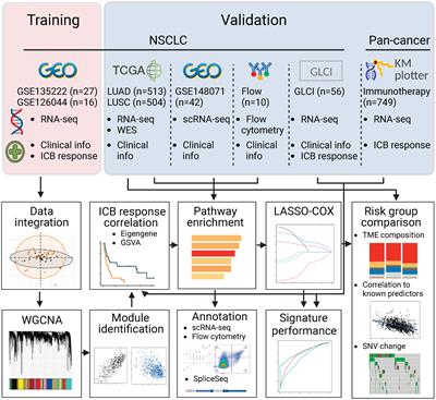 A risk score combining co-expression modules related to myeloid cells and alternative splicing associates with response to PD-1/PD-L1 blockade in non-small cell lung cancer
